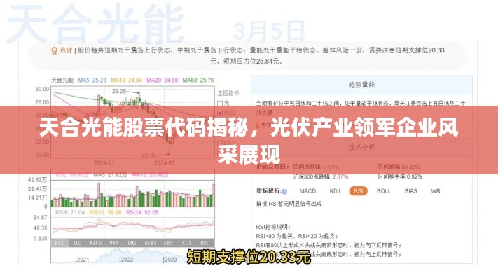 2025年2月26日 第6页