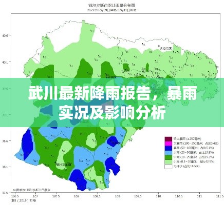 武川最新降雨报告，暴雨实况及影响分析