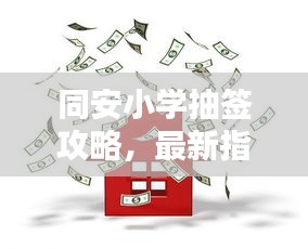 同安小学抽签攻略，最新指南助你轻松应对