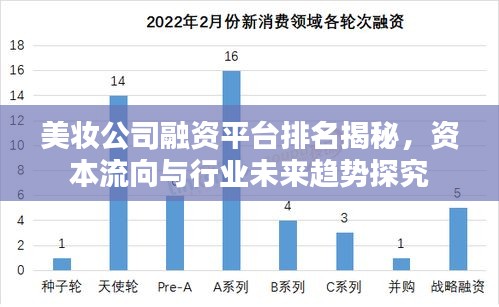 美妆公司融资平台排名揭秘，资本流向与行业未来趋势探究