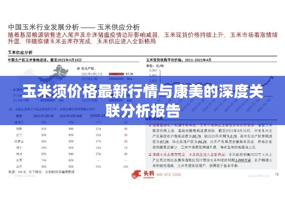 玉米须价格最新行情与康美的深度关联分析报告