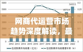 网商代运营市场趋势深度解读，最新行情分析报告！