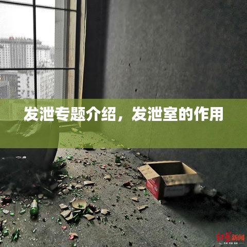 发泄专题介绍，发泄室的作用 