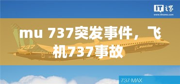 mu 737突发事件，飞机737事故 