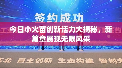 今日小火苗创新活力大揭秘，新篇章展现无限风采