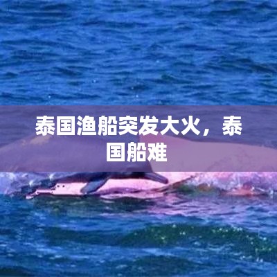 泰国渔船突发大火，泰国船难 