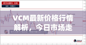 VCM最新价格行情解析，今日市场走势一网打尽！