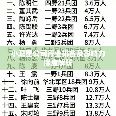 小卫星公司行业排名及影响力深度解析