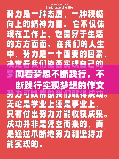 向着梦想不断践行，不断践行实现梦想的作文 