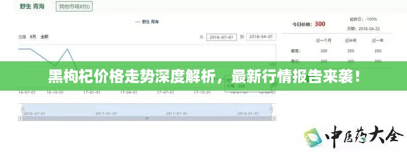 黑枸杞价格走势深度解析，最新行情报告来袭！