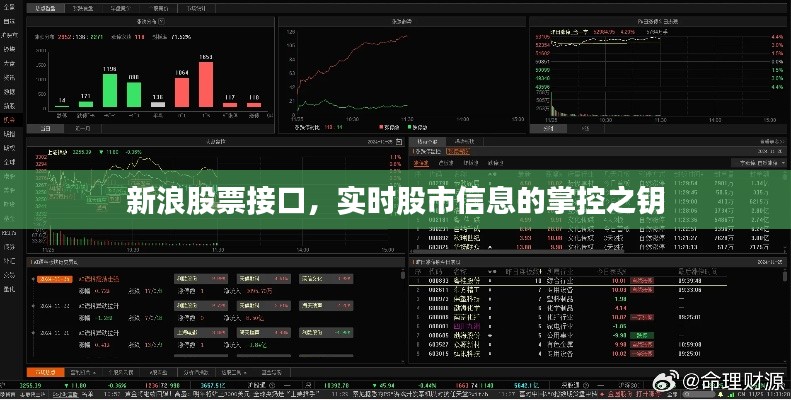 新浪股票接口，实时股市信息的掌控之钥