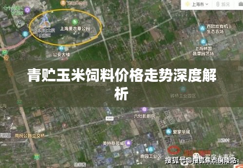 青贮玉米饲料价格走势深度解析