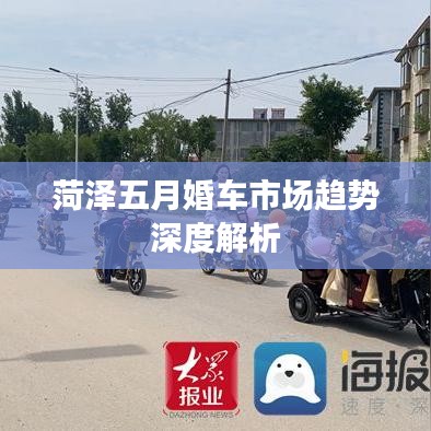 菏泽五月婚车市场趋势深度解析