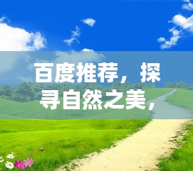 百度推荐，探寻自然之美，花草米然的世界