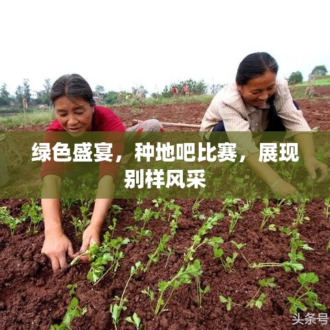 绿色盛宴，种地吧比赛，展现别样风采