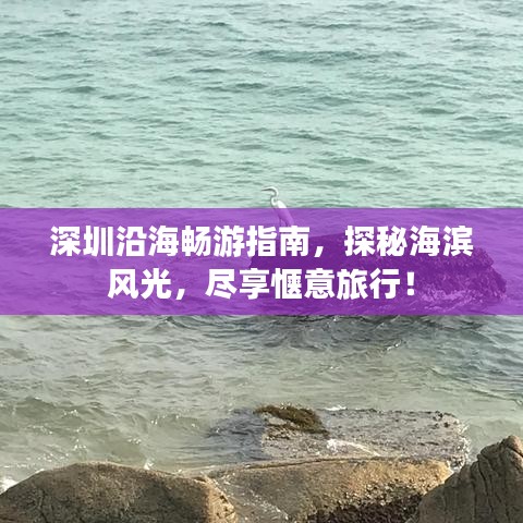深圳沿海畅游指南，探秘海滨风光，尽享惬意旅行！