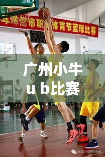 广州小牛u b比赛，城市篮球热潮炙热上演，竞技激情一触即发！