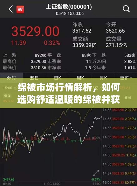绵被市场行情解析，如何选购舒适温暖的绵被并获取最优价格？