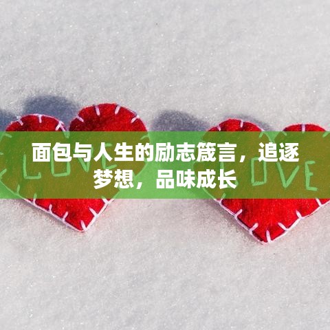 面包与人生的励志箴言，追逐梦想，品味成长