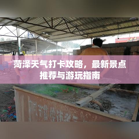 菏泽天气打卡攻略，最新景点推荐与游玩指南