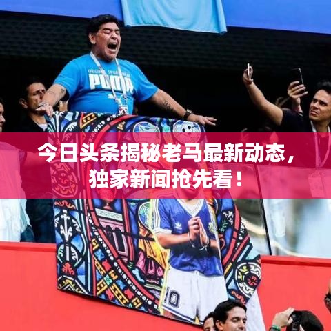 今日头条揭秘老马最新动态，独家新闻抢先看！