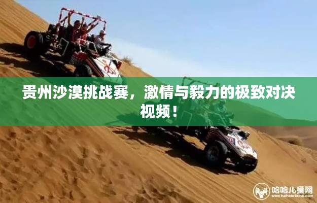 贵州沙漠挑战赛，激情与毅力的极致对决视频！