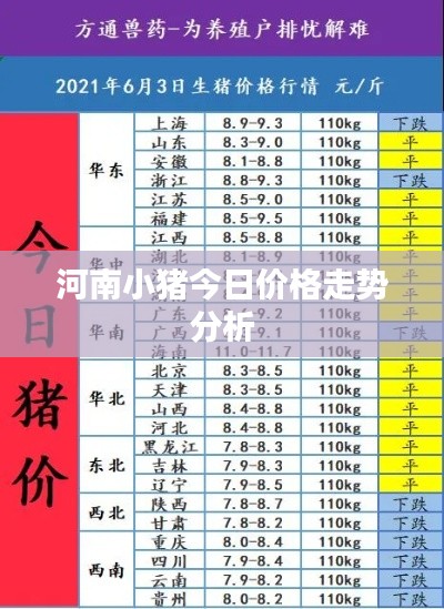 河南小猪今日价格走势分析