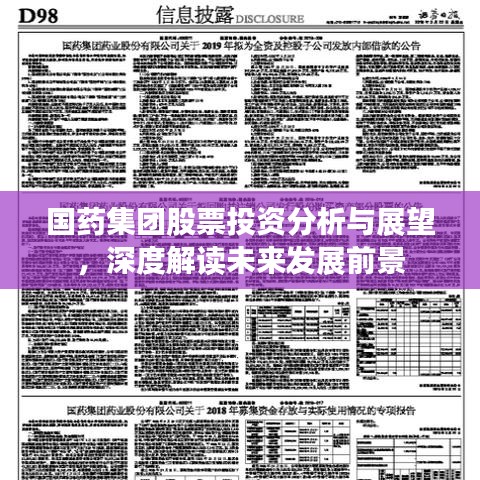 国药集团股票投资分析与展望，深度解读未来发展前景
