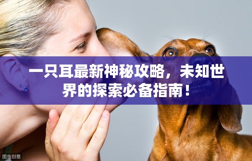 一只耳最新神秘攻略，未知世界的探索必备指南！
