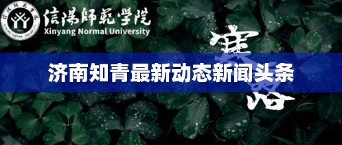 济南知青最新动态新闻头条