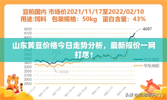 山东黄豆价格今日走势分析，最新报价一网打尽！
