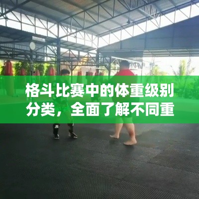 格斗比赛中的体重级别分类，全面了解不同重量级选手的较量！