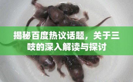 揭秘百度热议话题，关于三吱的深入解读与探讨