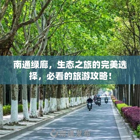 南通绿廊，生态之旅的完美选择，必看的旅游攻略！