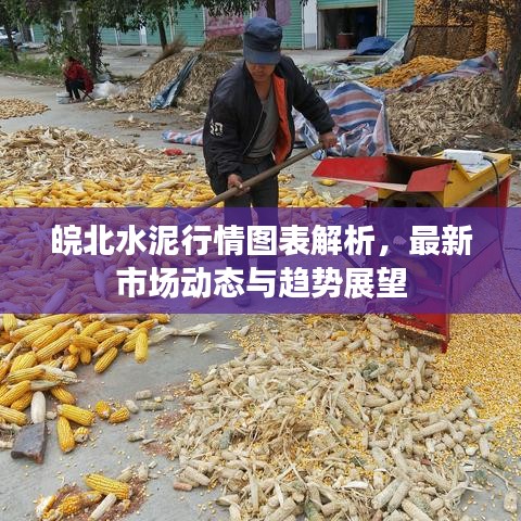 皖北水泥行情图表解析，最新市场动态与趋势展望