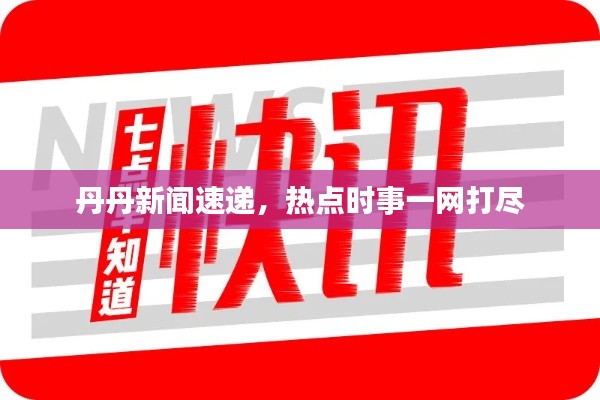 丹丹新闻速递，热点时事一网打尽