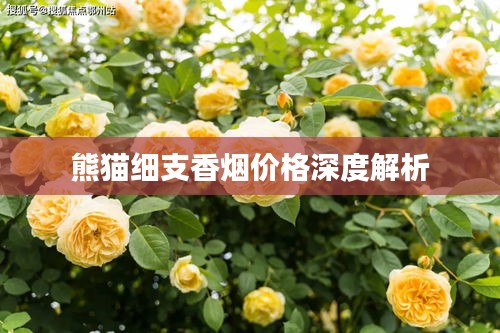 熊猫细支香烟价格深度解析