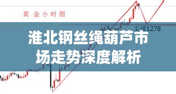 淮北钢丝绳葫芦市场走势深度解析