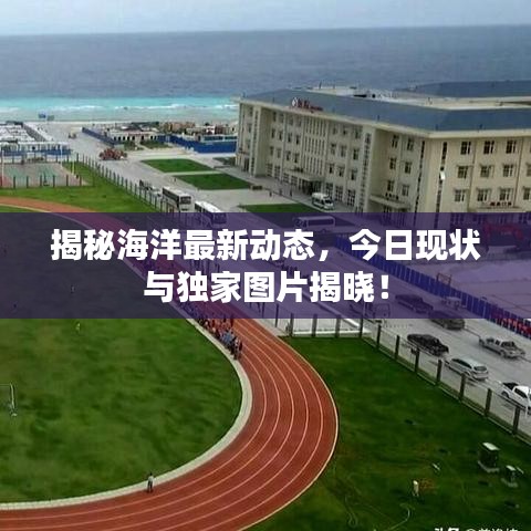 揭秘海洋最新动态，今日现状与独家图片揭晓！