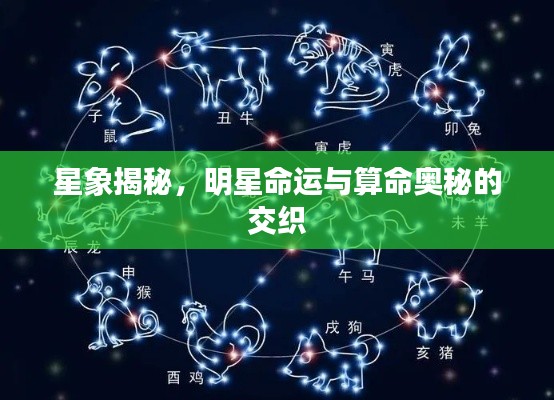 星象揭秘，明星命运与算命奥秘的交织