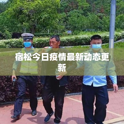 宿松今日疫情最新动态更新