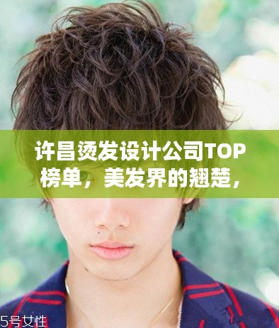 许昌烫发设计公司TOP榜单，美发界的翘楚，专业打造你的魅力发型！