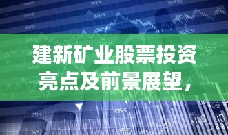 建新矿业股票投资亮点及前景展望，矿业巨头潜力无限