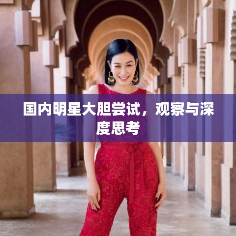 国内明星大胆尝试，观察与深度思考