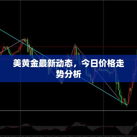 美黄金最新动态，今日价格走势分析