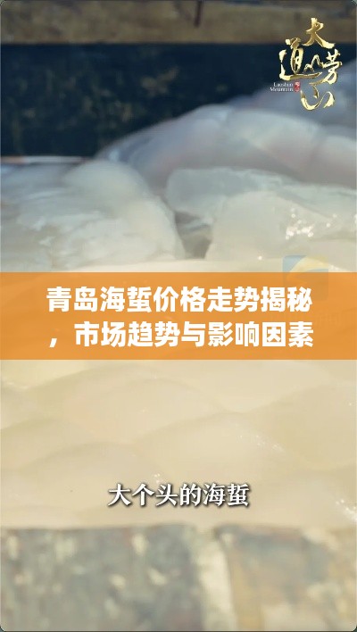 青岛海蜇价格走势揭秘，市场趋势与影响因素深度解析
