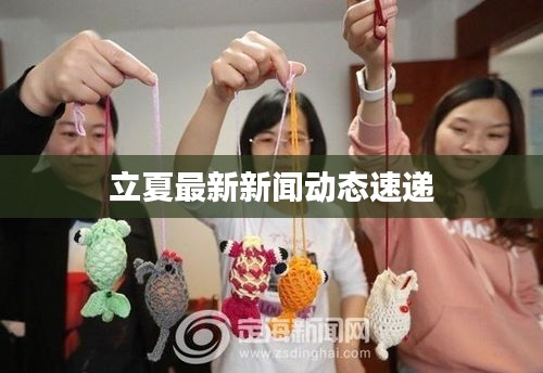 立夏最新新闻动态速递