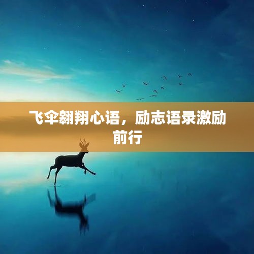 飞伞翱翔心语，励志语录激励前行