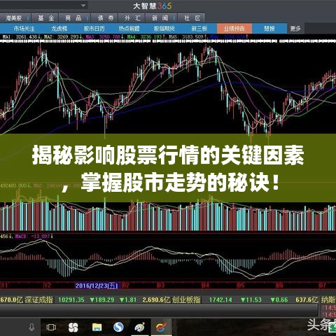 揭秘影响股票行情的关键因素，掌握股市走势的秘诀！