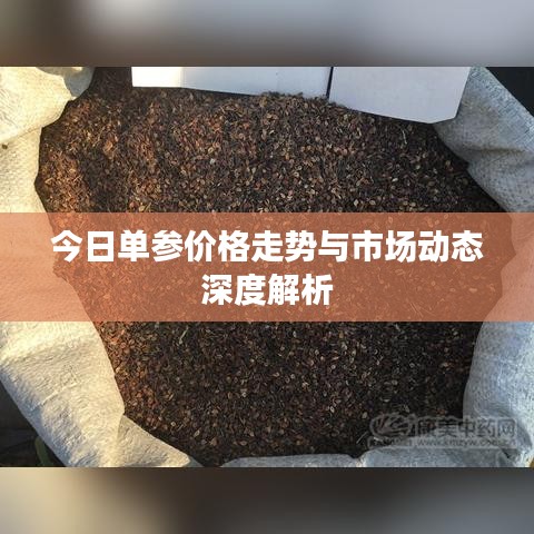 今日单参价格走势与市场动态深度解析